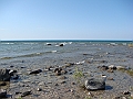 Western Michigan [2010] 788